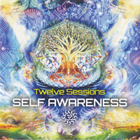 Twelve Sessions (BRA) - Self Awareness