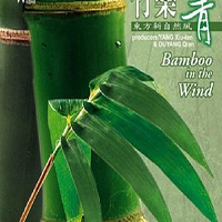 Shi Zhi-you & Zhang Fu-quan - Bamboo In The Wind