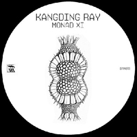 Kangding Ray - Monad XI (EP)