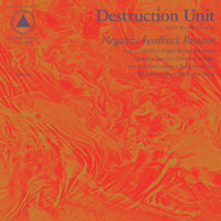 Destruction Unit - Negative Feedback Resistor