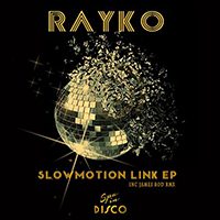 Rayko - Slow Motion Link (EP)