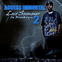 Access Immortal - Last Summer In Brooklyn 2