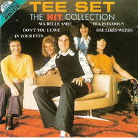 Tee-Set - The Original Hit Recordings And More