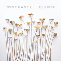 Opus Orange - Equilibrium