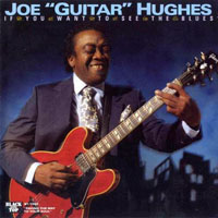 Joe 'Guitar' Hughes - If You Want To See The Blues