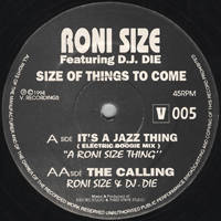Roni Size - Size Of Things To Come (Split)