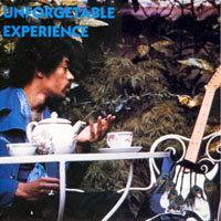 Jimi Hendrix Experience - Unforgettable Experience, 1967-69 (Original Vinyl Transfer Series, CD 20)