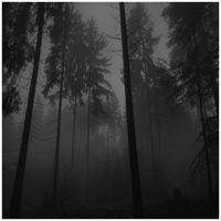 Mitch Murder - The Cure - A Forest (Mitch Murder Cover)