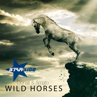 Donati & Amato - Wild Horses