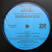 Akabu - I'm Not Afraid Of The Future (Remixes)