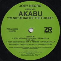 Akabu - I'm Not Afraid Of The Future