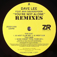 Dave Lee - You Are Not Alone