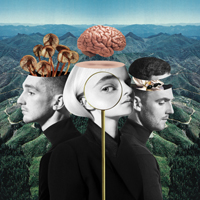 Clean Bandit - What Is Love? (Japanese Edition)