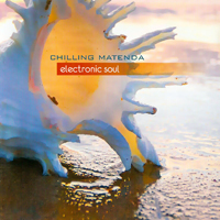 Denis Matenda - Electronic Soul