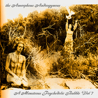 Amorphous Androgynous - A Monstrous Psychedelic Bubble Exploding In Your Mind Vol. 7 (CD 2)