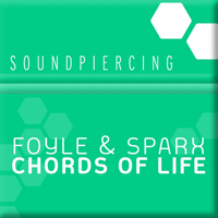 Foyle, Mike - Chords Of Life