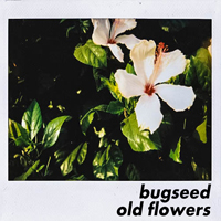 Bugseed - Old Flowers