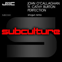 Cathy Burton - John O'Callaghan feat. Cathy Burton - Perfection (Single) 