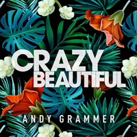Grammer, Andy - Crazy Beautiful (Ep)