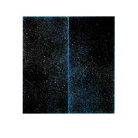 New Order - Temptation (Single)