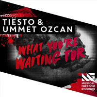 Ozcan, Ummet - What You're Waiting For [Single]