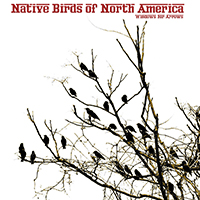 Native Birds of North America - Windows For Arrows