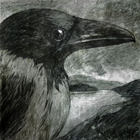 My Woshin Mashin - Little Crow (Single)
