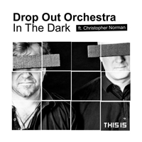 Drop Out Orchestra - In The Dark (Single)