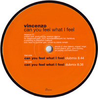 Vincenzo - Can You Feel What I Feel  (Single)