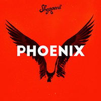 Sheppard - Phoenix (Single)