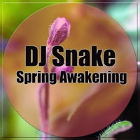 DJ Snake - Spring Awakening (Single)