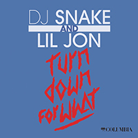 DJ Snake - Turn Down For What (Single) 