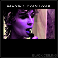 BL▲CK † CEILING - Silver Paint Mix