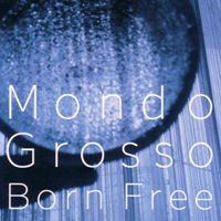 Mondo Grosso - Born Free