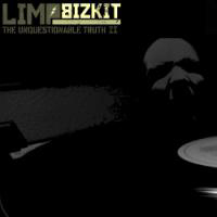 Limp Bizkit - Remix Album By Jangstaar