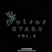 Pulsar Recordings - Pulsar Recordings (CD 040b: VA - Pulsar Stars, Vol. 1)