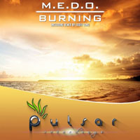 Pulsar Recordings - Pulsar Recordings (CD 146: M.E.D.O. - Burning)