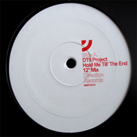 DT8 Project - Hold Me Till The End (Vinyl)