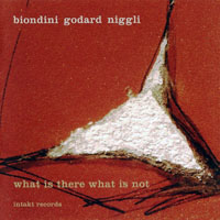 Godard, Michel - Biondini, Godard, Niggli - What Is There What Is Not