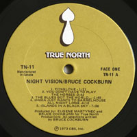 Cockburn, Bruce - Night Vision (LP)