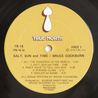 Cockburn, Bruce - Salt, Sun & Time (LP)
