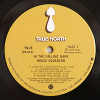 Cockburn, Bruce - In The Falling Dark (LP)