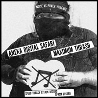 Maximum Thrash - Noise Vs Power Violence (Split with Aneka Digital Safari) - Single