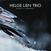 Helge Lien Trio - Helge Lien Trio - Badgers And Other Beings