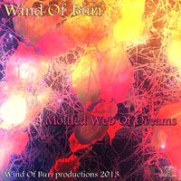 Wind Of Buri - Main Series Mixes (CD 03: Mottled Web Of Dreams)