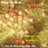 Wind Of Buri - Main Series Mixes (CD 12: Planet Of Dreams [A Dream About Summer])