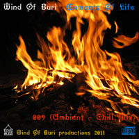 Wind Of Buri - Moments Of Life, Vol. 009: Ambient - Chill Mix (CD 1)