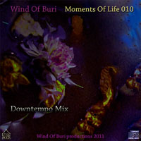 Wind Of Buri - Moments Of Life, Vol. 010: Downtempo Mix (CD 1)