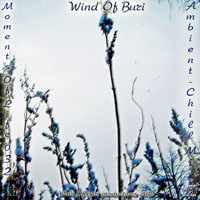 Wind Of Buri - Moments Of Life, Vol. 032: Ambient - Chill Mix (CD 1)