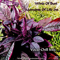 Wind Of Buri - Moments Of Life, Vol. 034: Vocal - Chill Mix (CD 1)